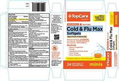 Carton (Topco Daytime Mini 24 Ct)